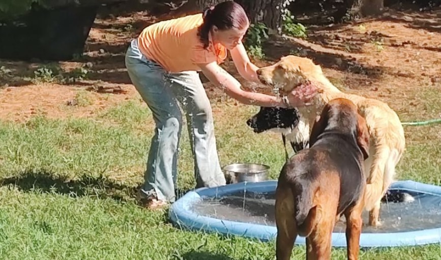 DOG DAYCARE